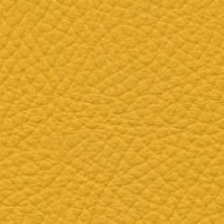 Toledo Giallo proefstaal